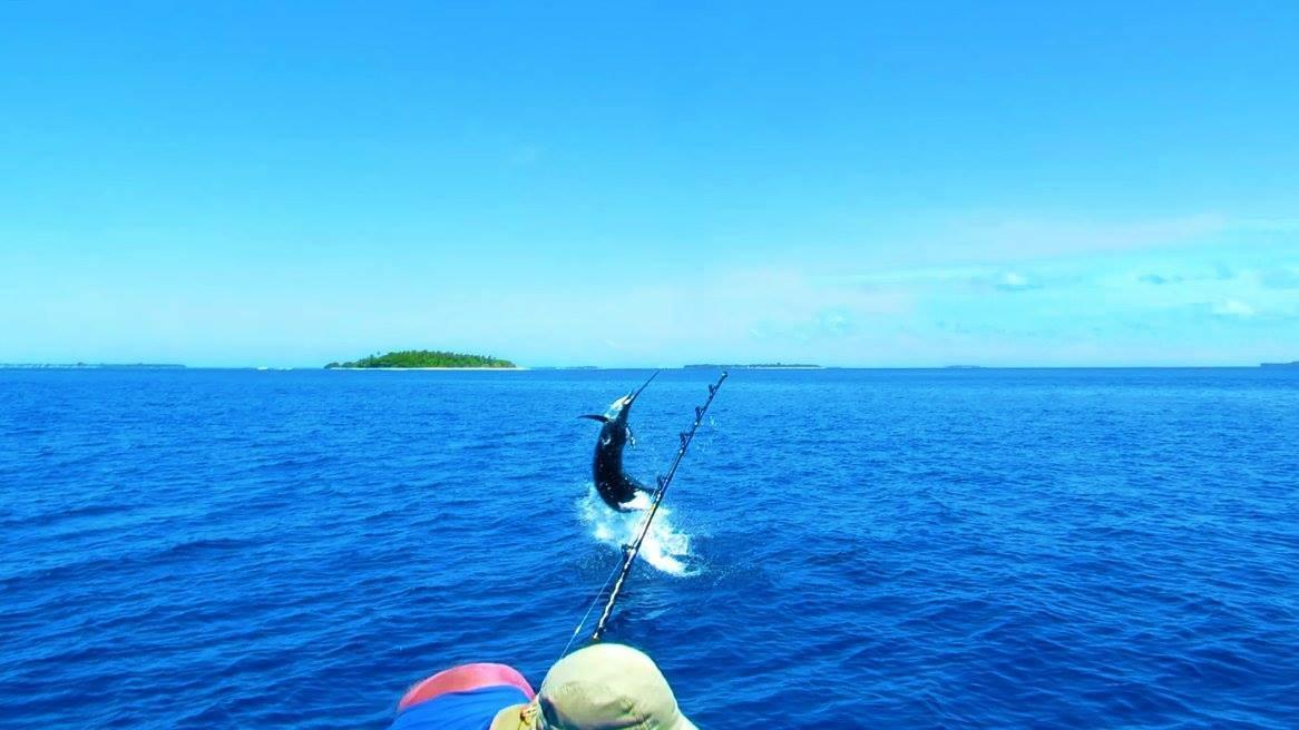 Summer Shade Maldives Dharavandhoo Exterior photo